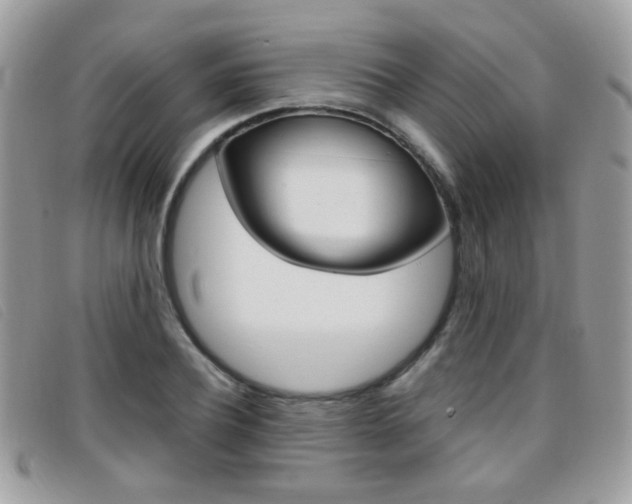X0000095940932200801110851