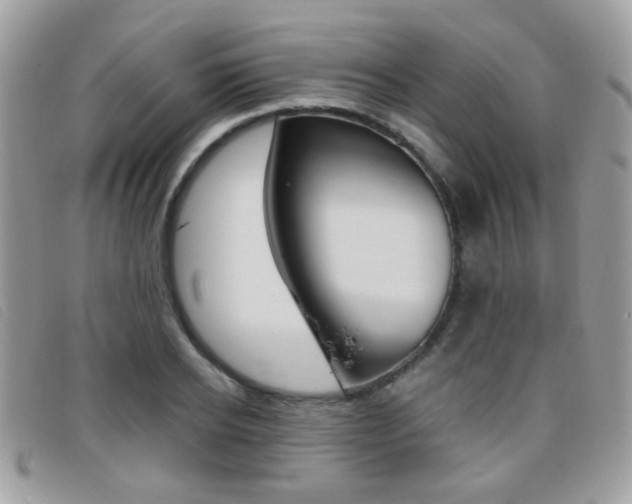 X0000095940934200801110851