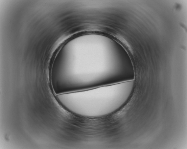 X0000095940935200801110851