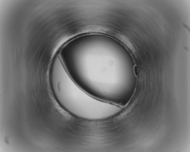 X0000095940936200801110851