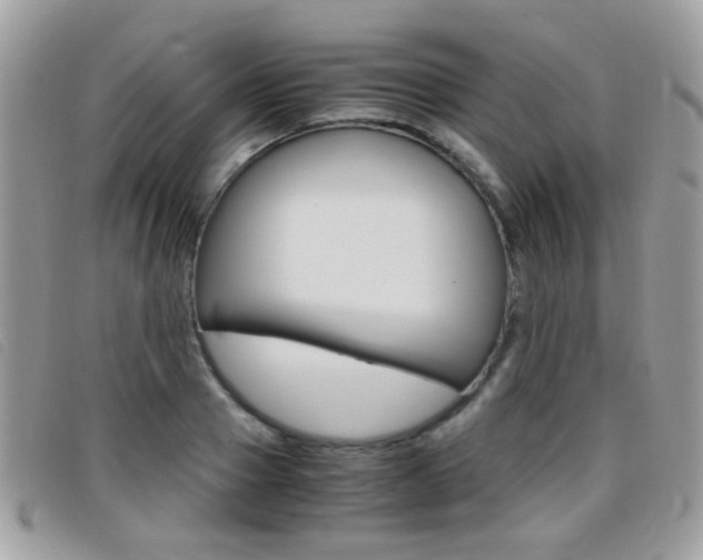 X0000095940937200801110851