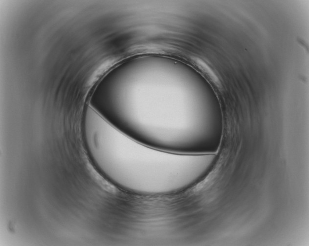 X0000095940938200801110851