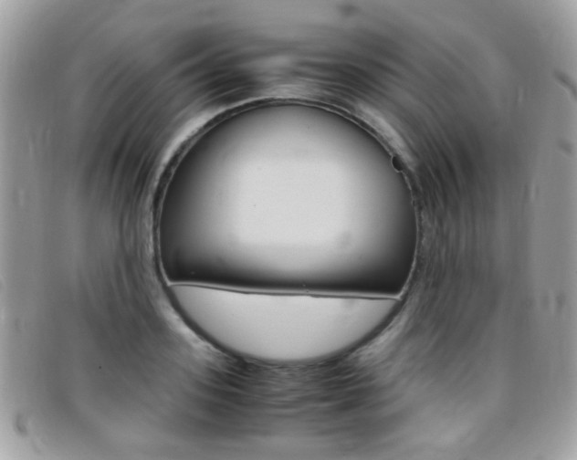 X0000095940939200801110851