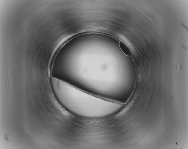 X0000095940940200801110851
