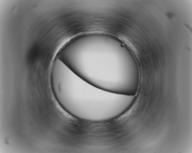 X0000095940941200801110851