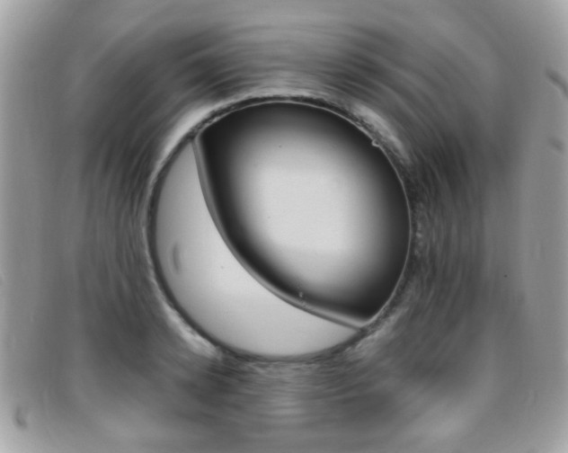 X0000095940942200801110851