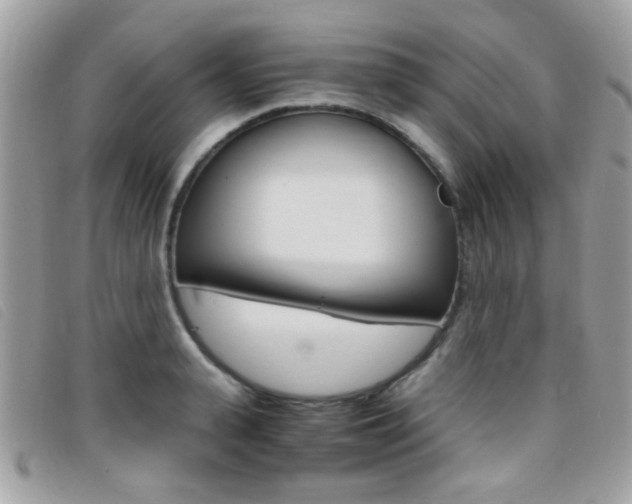 X0000095940943200801110851