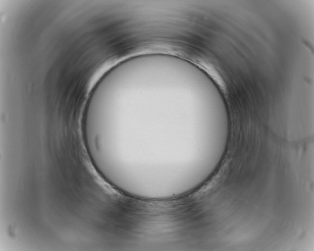 X0000095940944200801110851