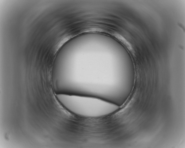X0000095940945200801110851