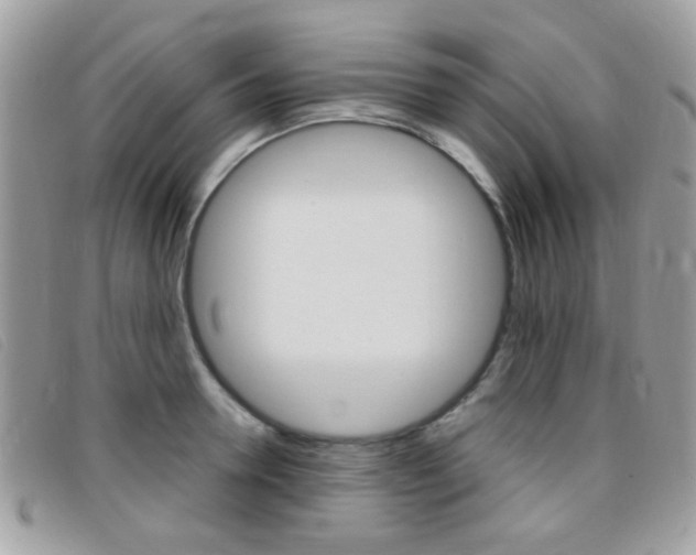 X0000095940946200801110851