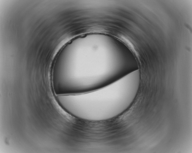X0000095940947200801110851