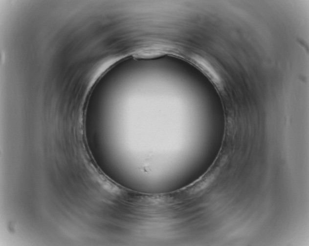 X0000095940948200801110851