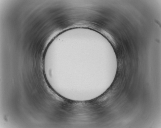 X0000095940950200801110851