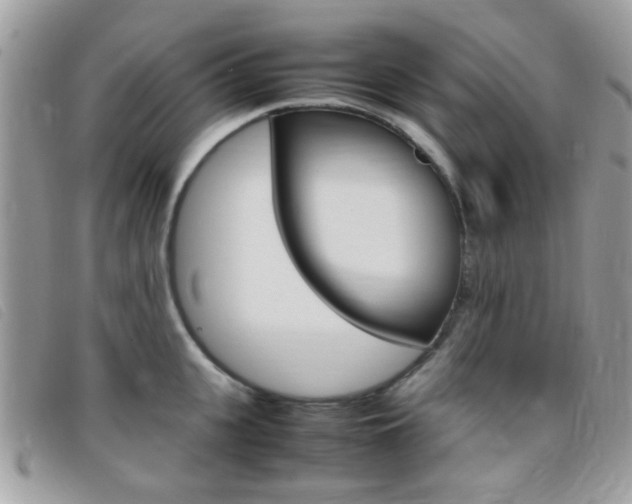 X0000095940951200801110851