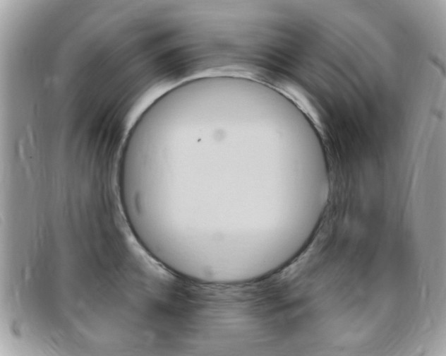 X0000095940952200801110851
