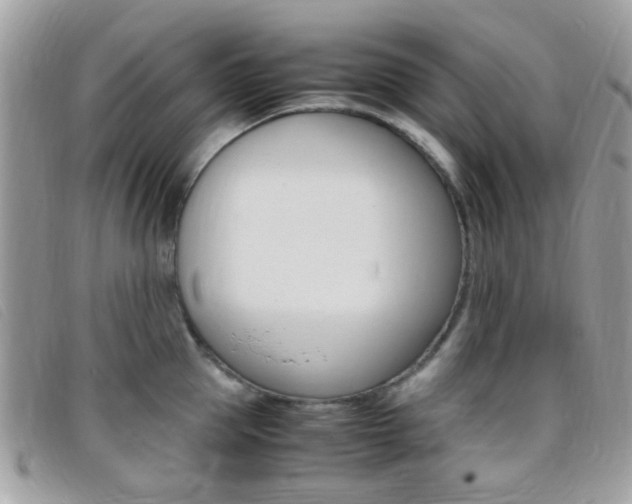 X0000095940953200801110851