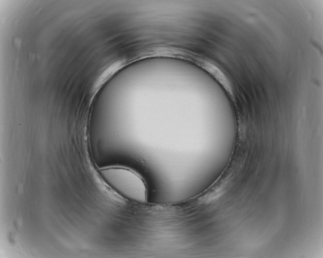 X0000095940954200801110851