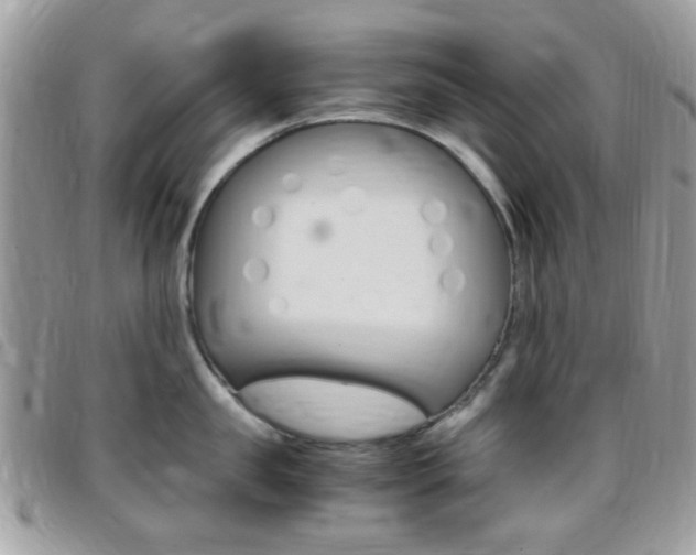 X0000095940957200801110852