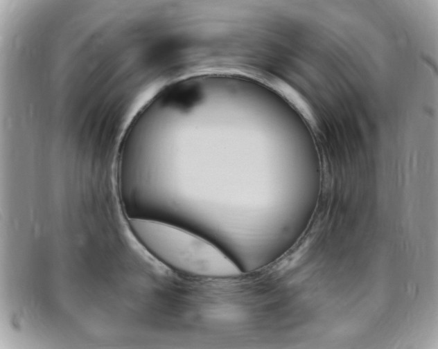 X0000095940958200801110852