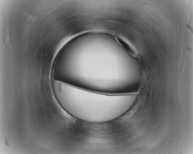 X0000095940959200801110852