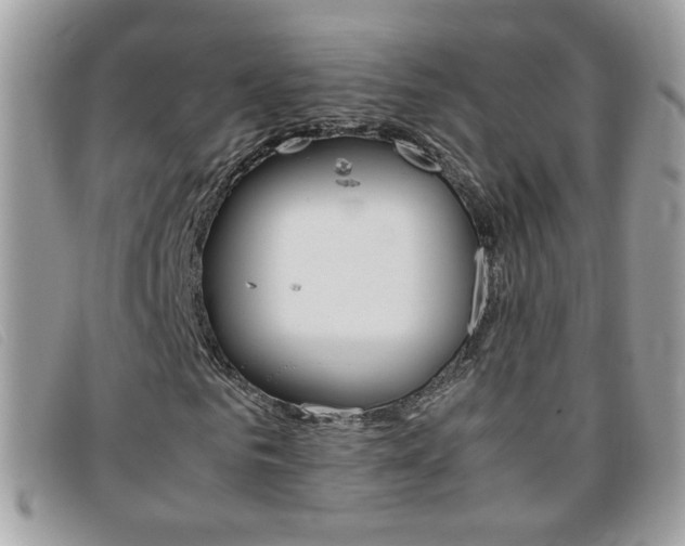 X0000095940961200801110851