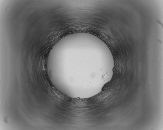 X0000095940962200801110851