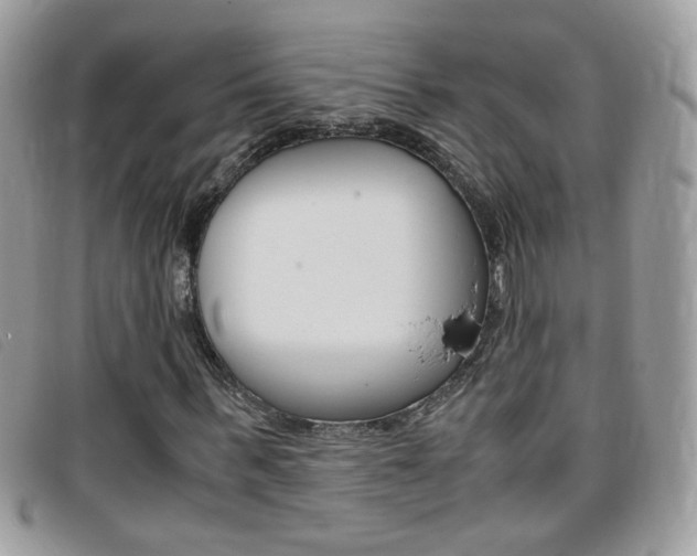 X0000095940963200801110851