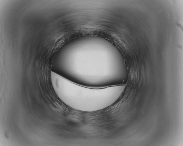X0000095940964200801110851