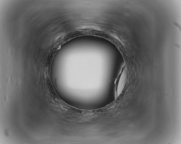 X0000095940965200801110851