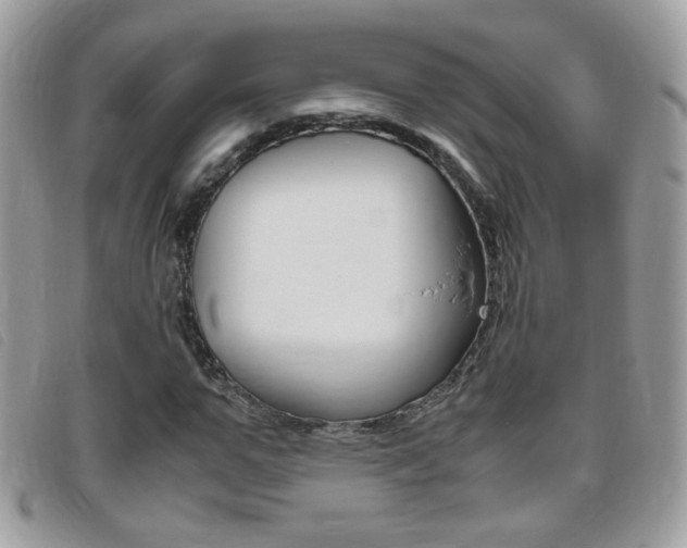 X0000095940967200801110851