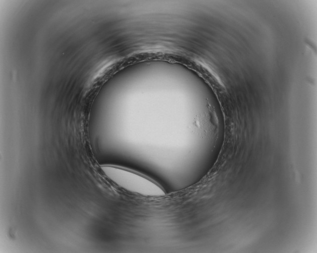 X0000095940968200801110851