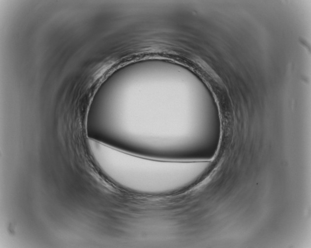 X0000095940969200801110851