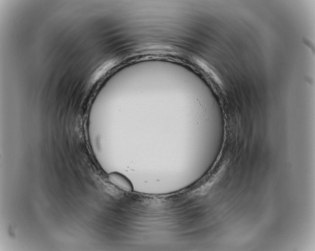 X0000095940970200801110851