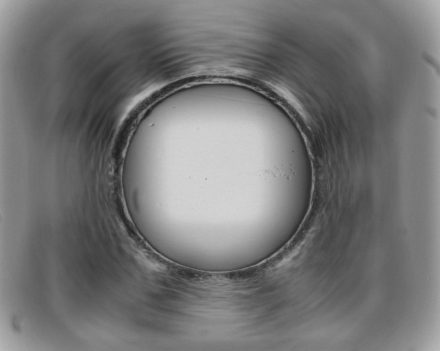 X0000095940971200801110851
