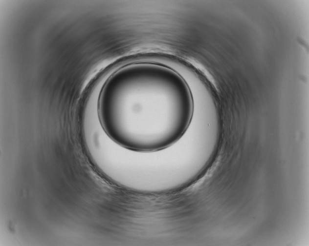 X0000095940973200801110851