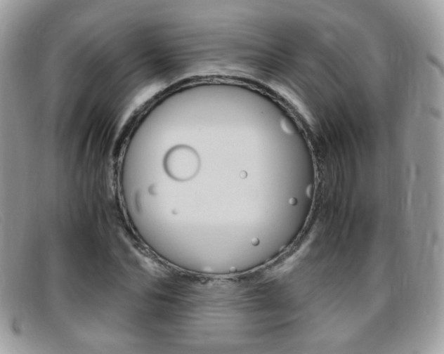 X0000095940974200801110851