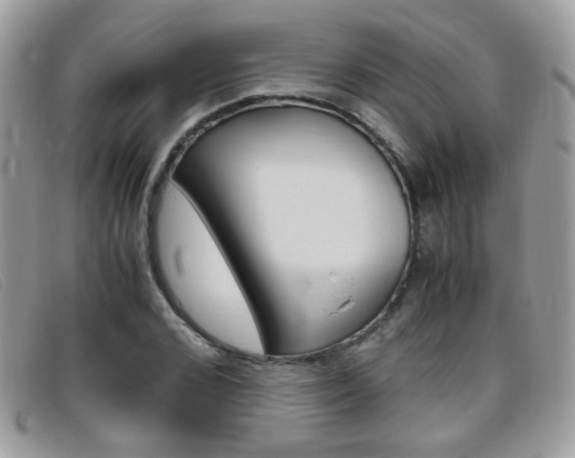 X0000095940976200801110851