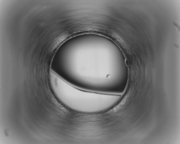 X0000095940977200801110851
