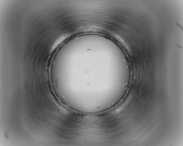 X0000095940978200801110851