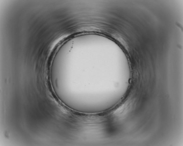 X0000095940979200801110851