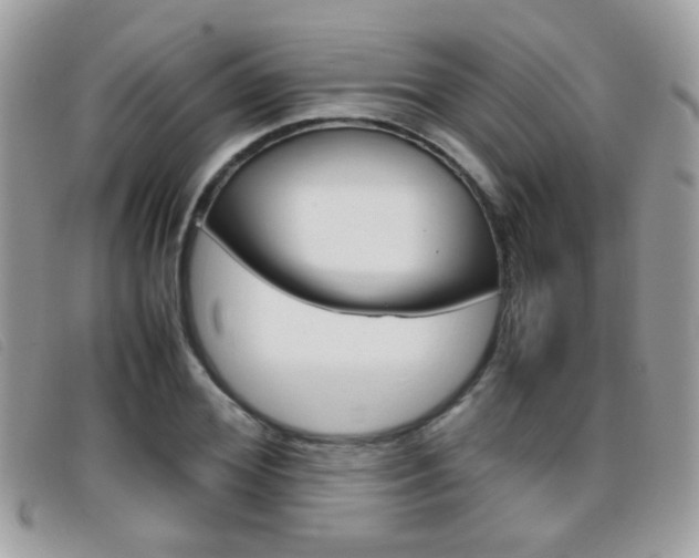 X0000095940980200801110851