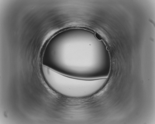 X0000095940981200801110851