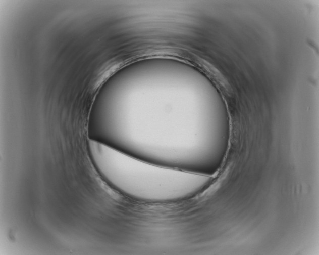 X0000095940985200801110851