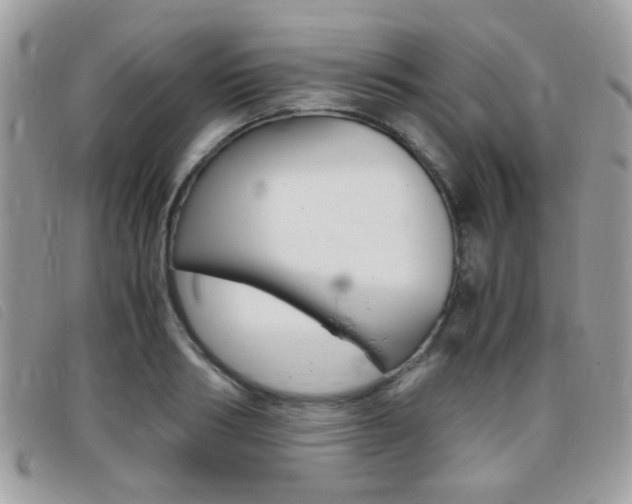 X0000095940986200801110851