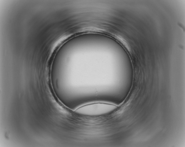 X0000095940987200801110851