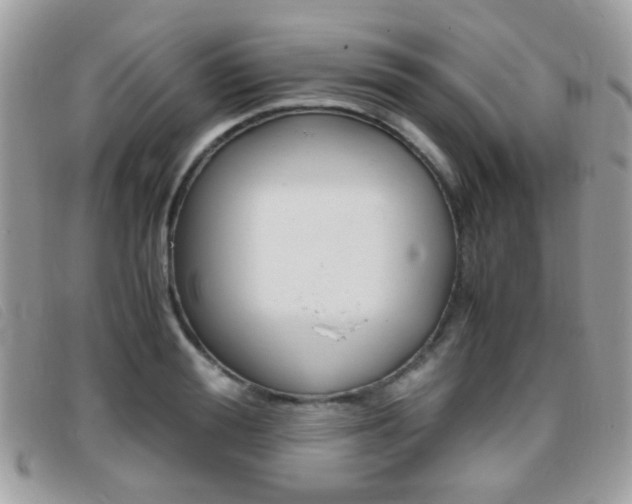 X0000095940988200801110851