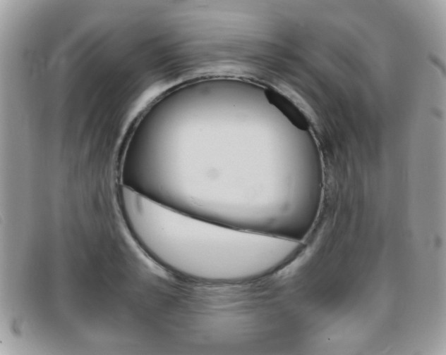 X0000095940989200801110851