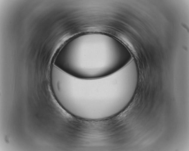 X0000095940992200801110850
