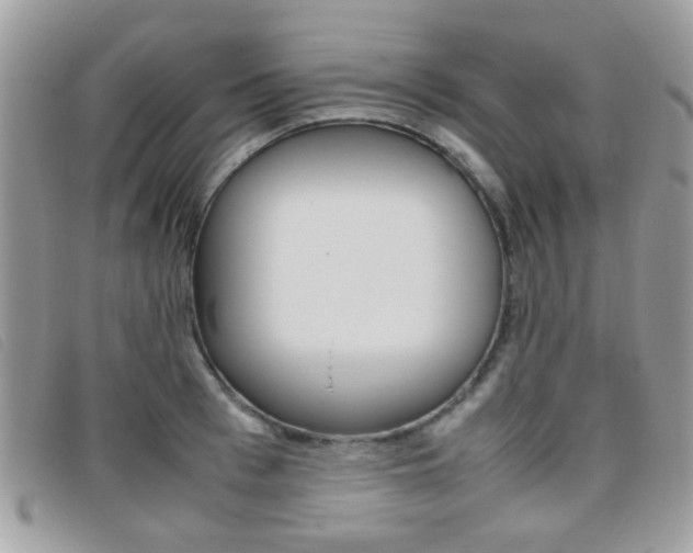 X0000095940993200801110850