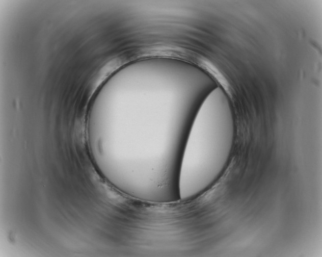 X0000095940994200801110850
